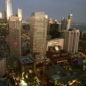 Meet your Posher, Elsa